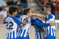 Brighton & Hove Albion have been brilliant this season